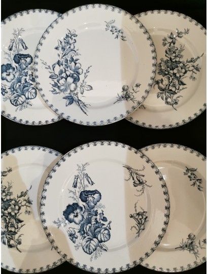 ASSIETTES MODELE "VEGA" DE SARREGUEMINES