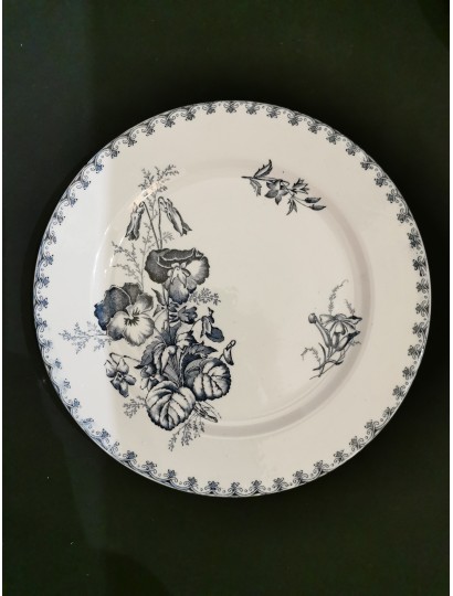 ASSIETTES MODELE "VEGA" DE SARREGUEMINES