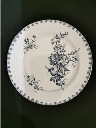 ASSIETTES MODELE "VEGA" DE SARREGUEMINES
