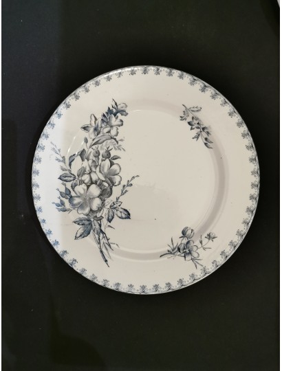 ASSIETTES MODELE "VEGA" DE SARREGUEMINES