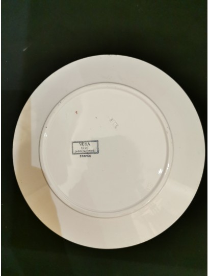 ASSIETTES MODELE "VEGA" DE SARREGUEMINES
